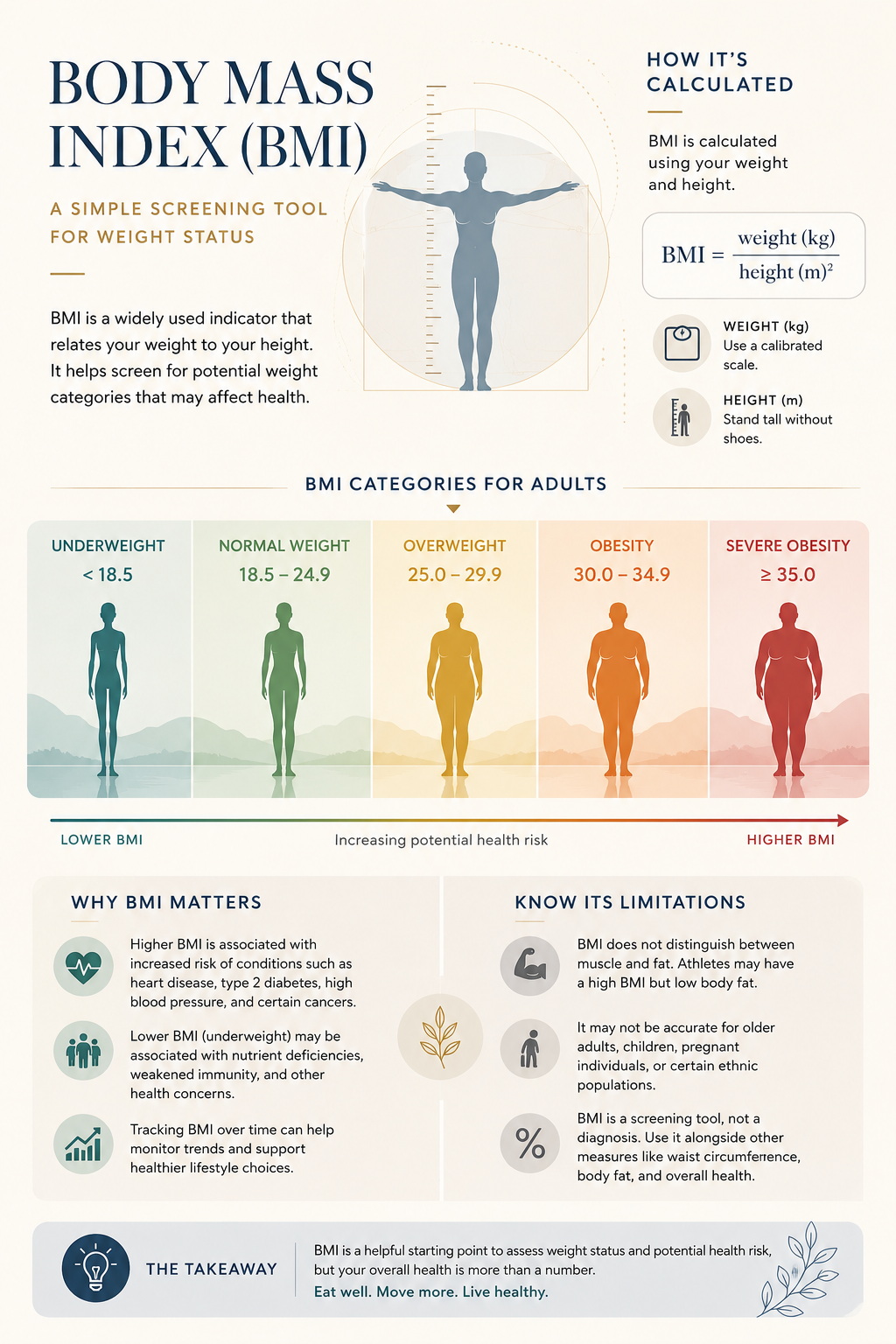 Body mass index infographic showing BMI categories, calculation formula, why BMI matters and its limitations